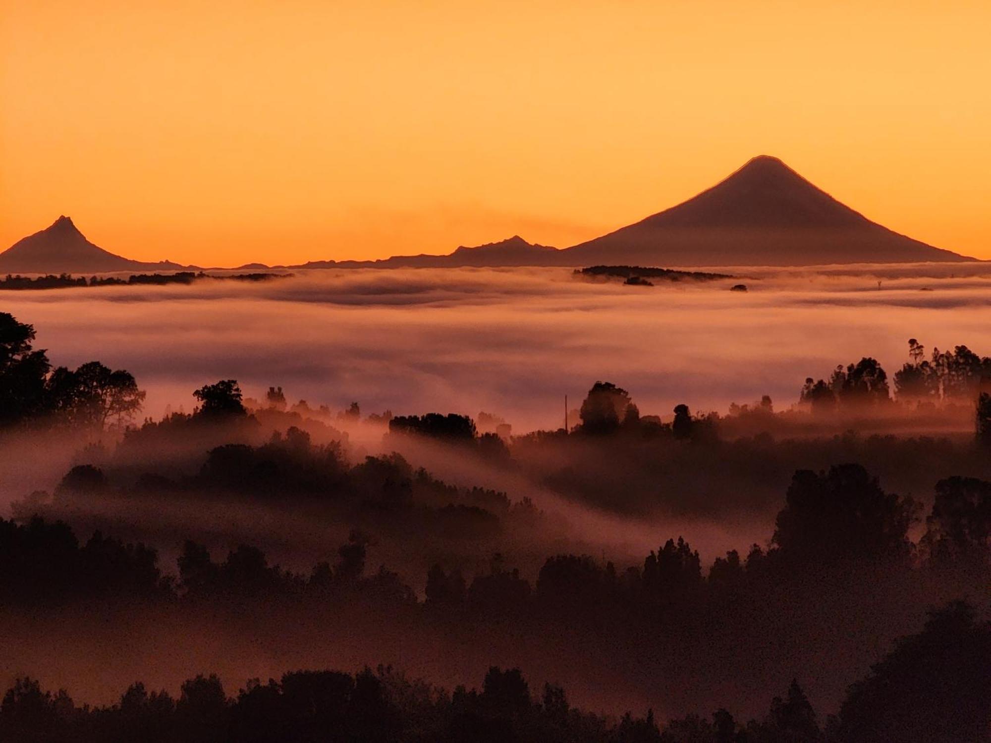El Sarao A Hora De Puerto Varas * Fresia