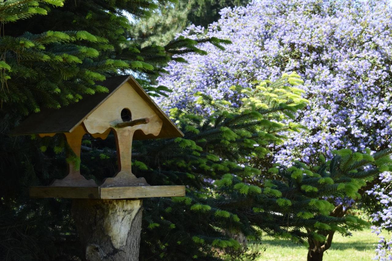 El Sarao A Hora De Puerto Varas Alojamento